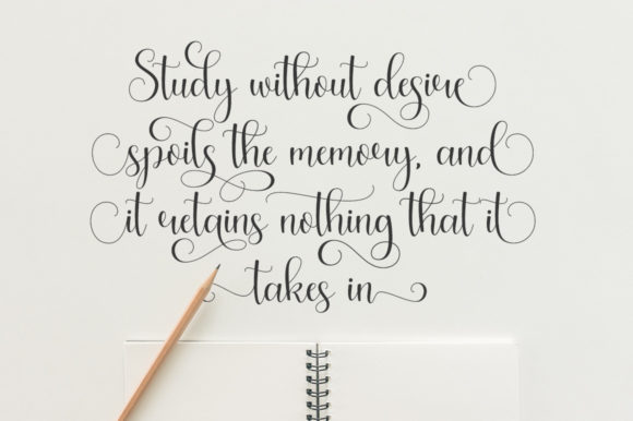 Arabela Script Font Poster 6
