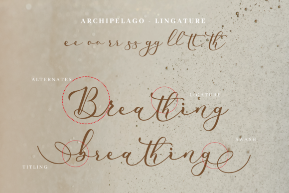 Archipelago Font Poster 8