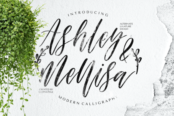 Ashley & Mellisa Font Poster 1