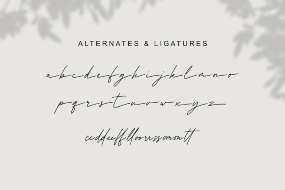 Asmillione Font Poster 10