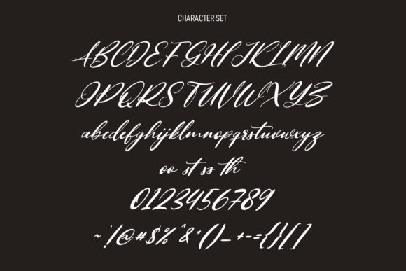 Asortings Script Font Poster 8
