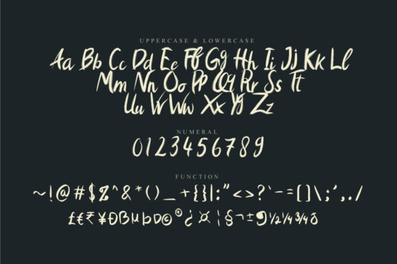 Atliks Font Poster 8