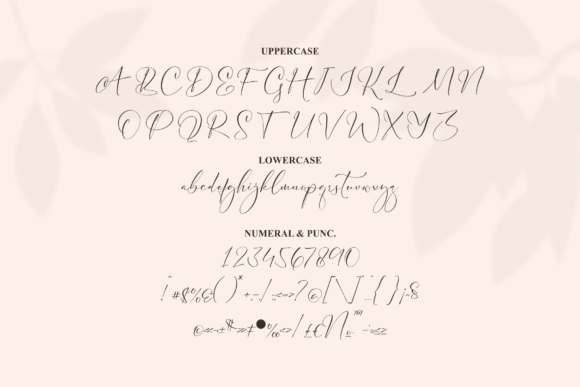 Aurelly Dattian Font Poster 13