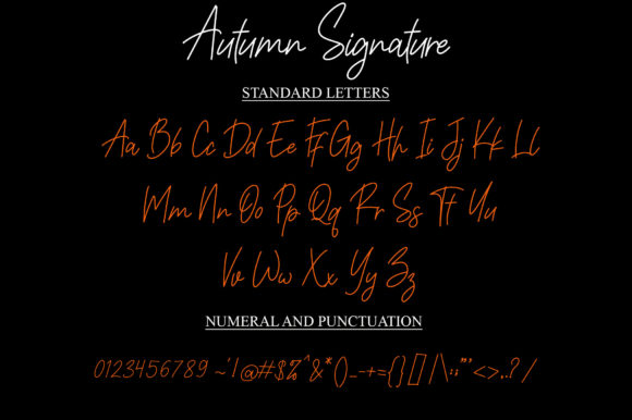 Autumn Signature Font Poster 6