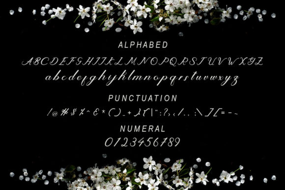 Ayilena Font Poster 3