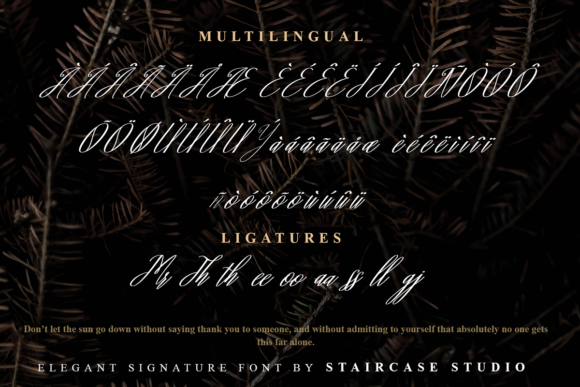 Baby Groovy Font Poster 9