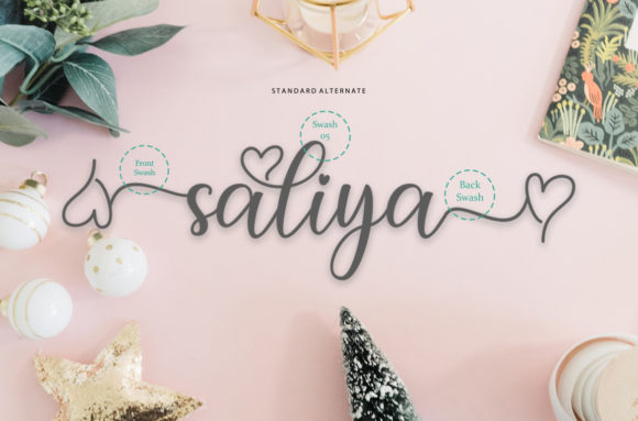 Baby Lalisa Font Poster 6