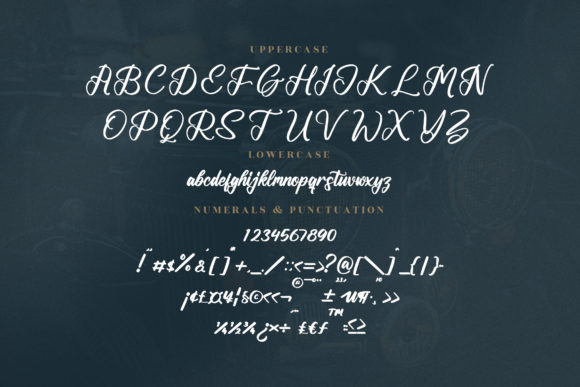 Backrush Font Poster 13