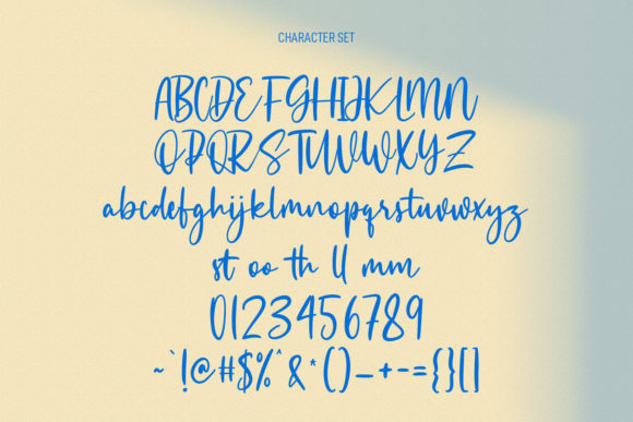 Bagfullest Font Poster 8