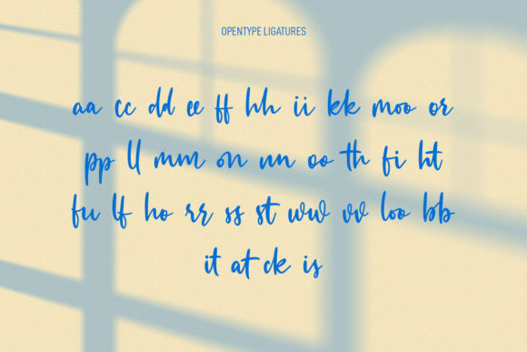 Bagfullest Font Poster 9