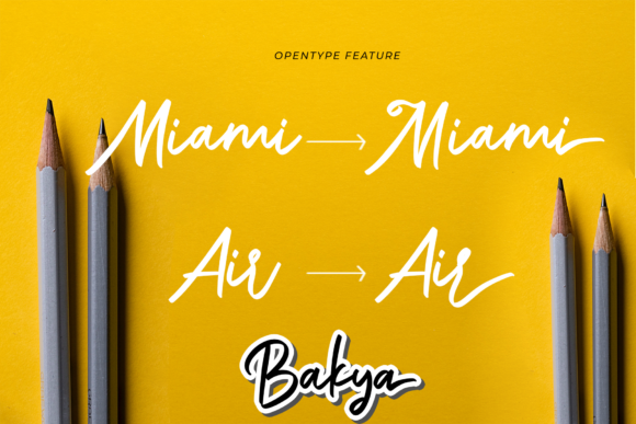 Bakya Font Poster 3