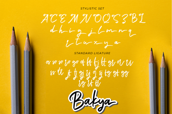 Bakya Font Poster 9