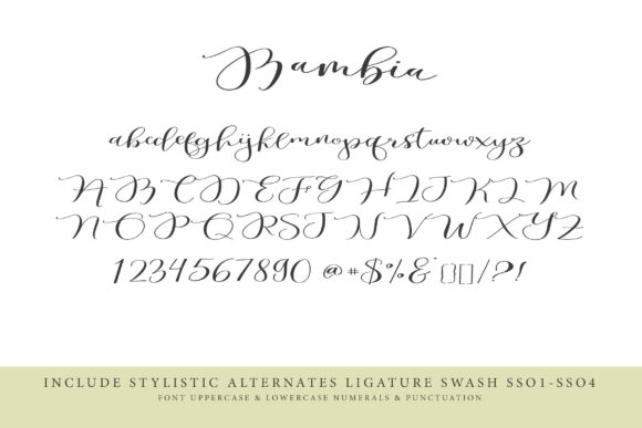 Bambia Calligraphi Font Poster 7