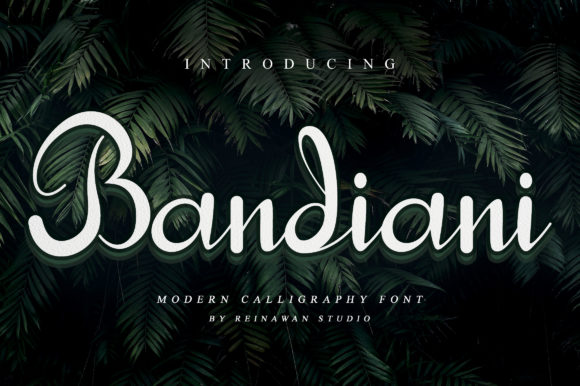 Bandiani Font Poster 1