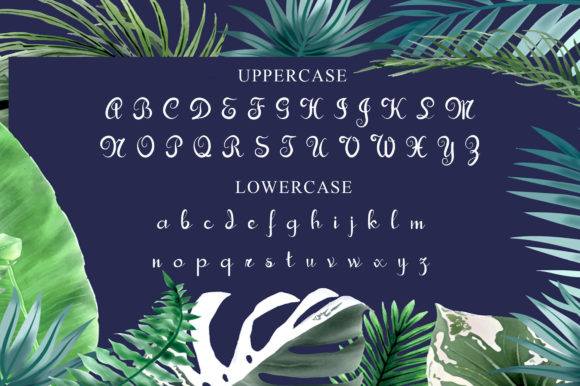 Bandiani Font Poster 6