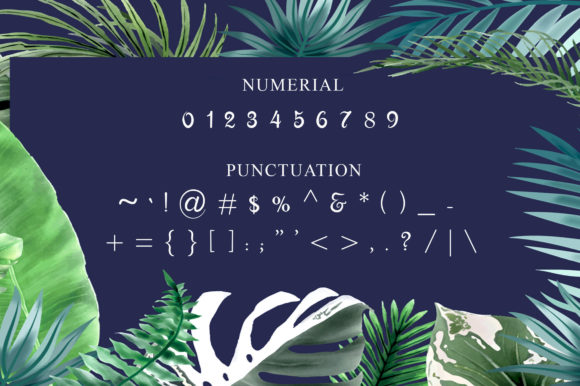 Bandiani Font Poster 7