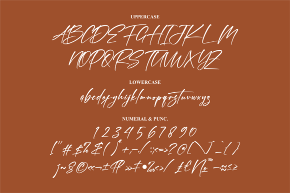 Banetigra Font Poster 13