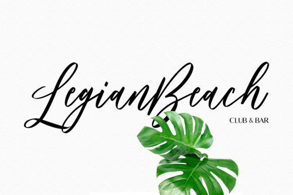 Bankports Signature Font Poster 7