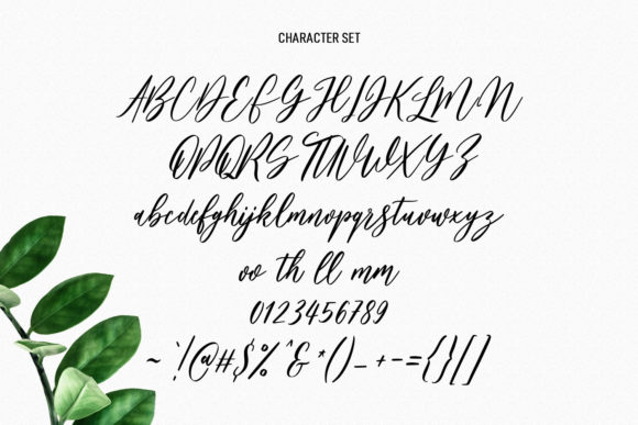 Bankports Signature Font Poster 8