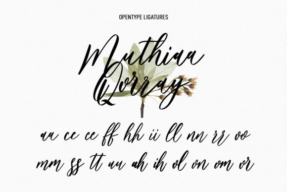 Bankports Signature Font Poster 9