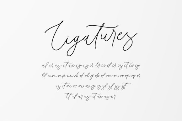 Baroutta Font Poster 14