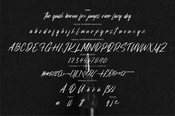 Barttienle Font Poster 6