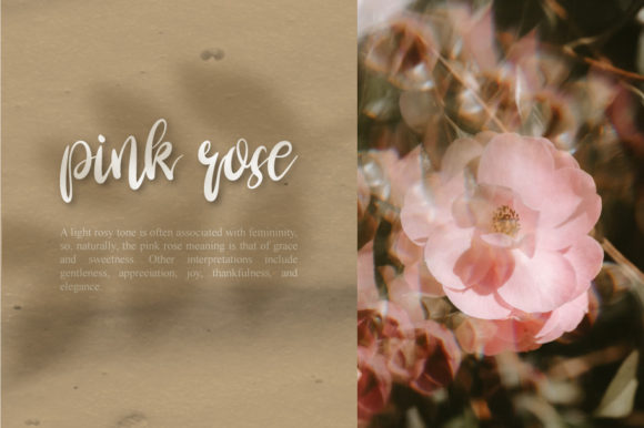 Batok Script Font Poster 9