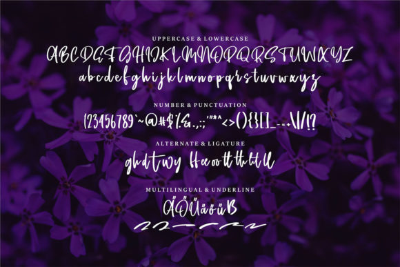 Batsy Font Poster 6