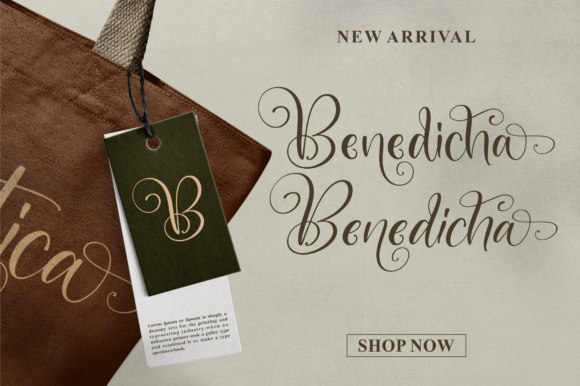 Beautica Dreaming Font Poster 2