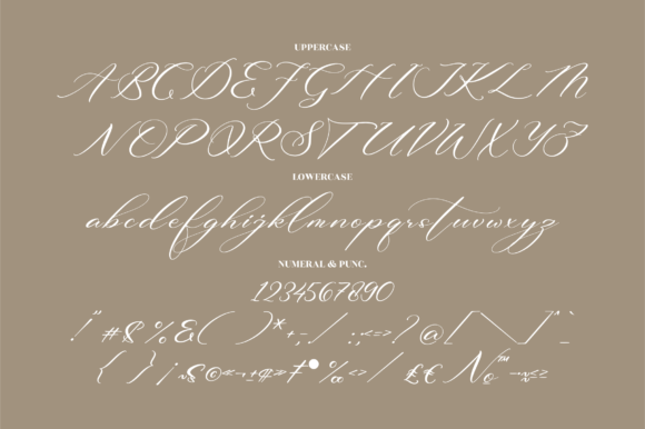 Beautilina Premium Font Poster 13