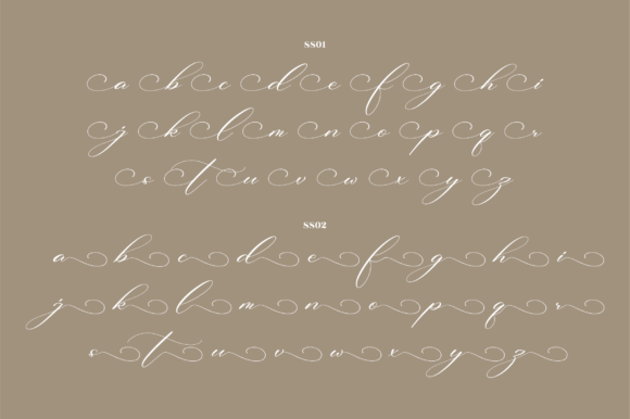 Beautilina Premium Font Poster 14