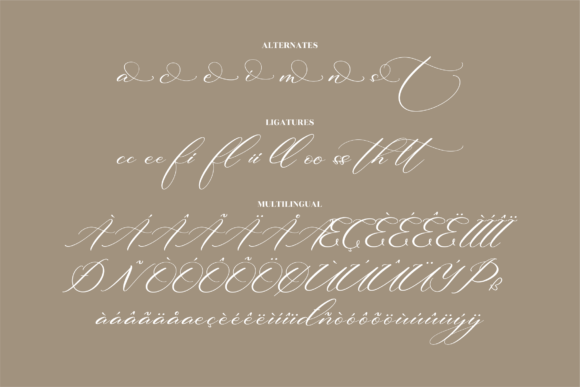 Beautilina Premium Font Poster 15