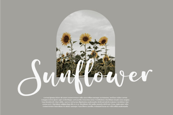 Beauty Amalia Font Poster 11