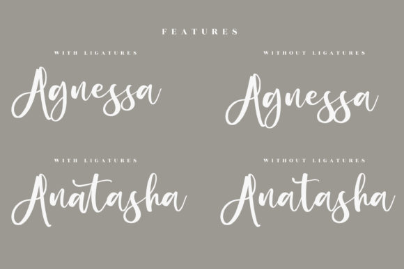 Beauty Amalia Font Poster 12