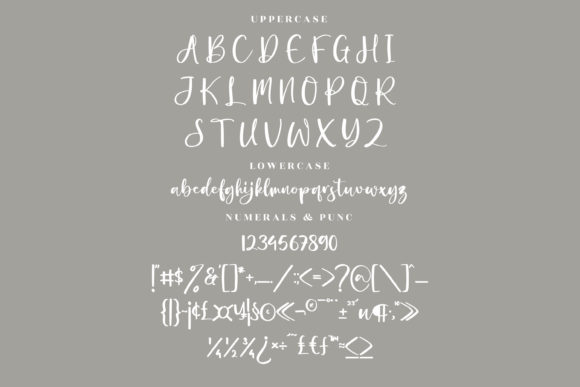Beauty Amalia Font Poster 13