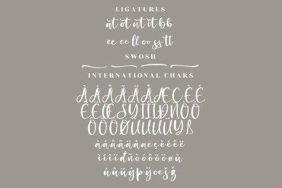 Beauty Amalia Font Poster 14
