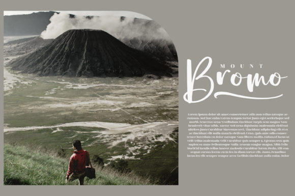 Beauty Amalia Font Poster 6