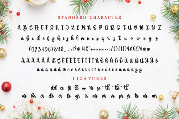 Beauty Christmas Font Poster 14