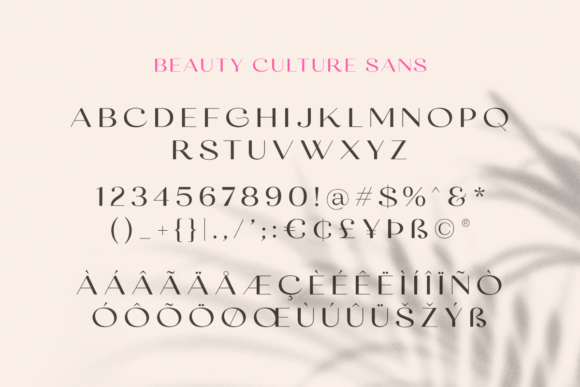 Beauty Culture Font Poster 9