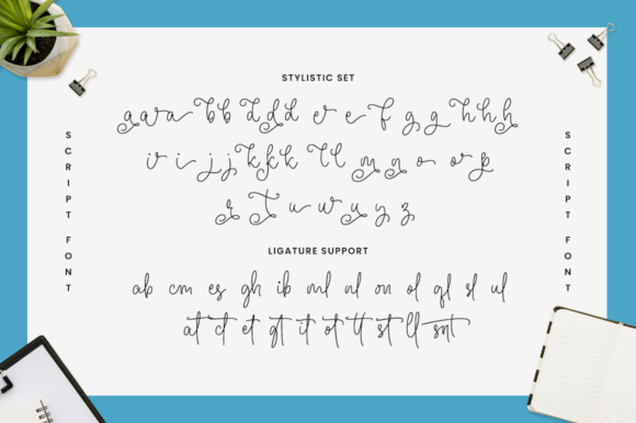 Beauty Festival Font Poster 11