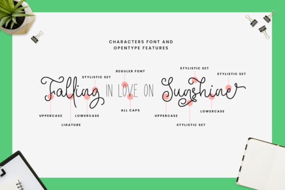 Beauty Festival Font Poster 7