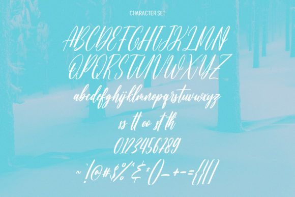 Beauty Snowy Script Font Poster 6