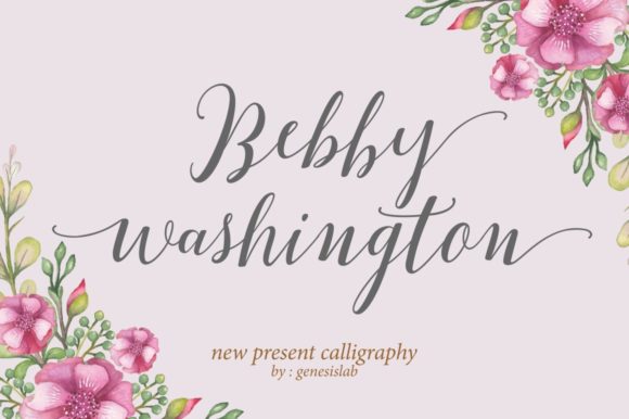 Bebby Washington Font