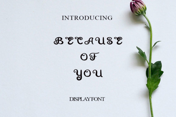 Because of You Font Poster 1