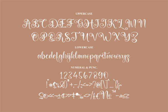 Belary Rhainy Font Poster 13