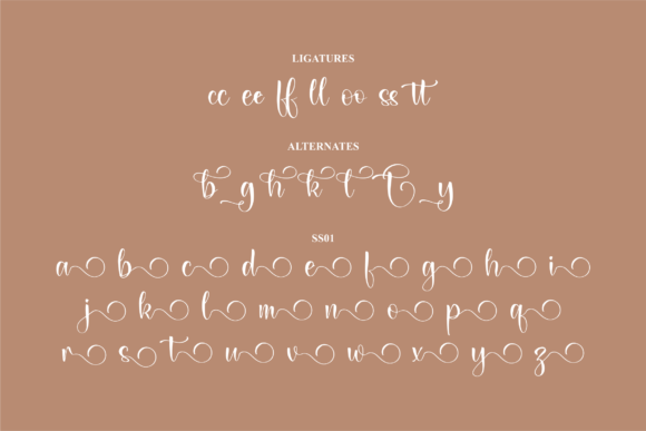 Belary Rhainy Font Poster 14