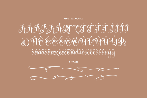 Belary Rhainy Font Poster 15