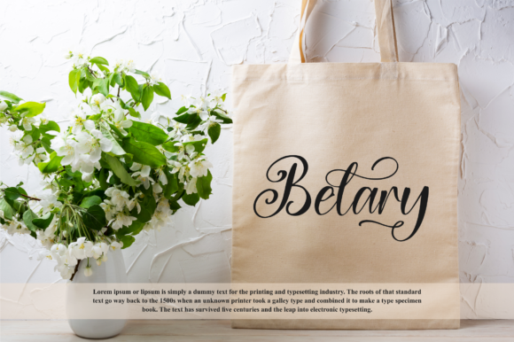 Belary Rhainy Font Poster 9