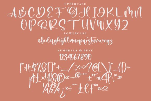 Belistica Beauty Font Poster 13