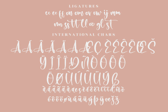 Belistica Beauty Font Poster 14
